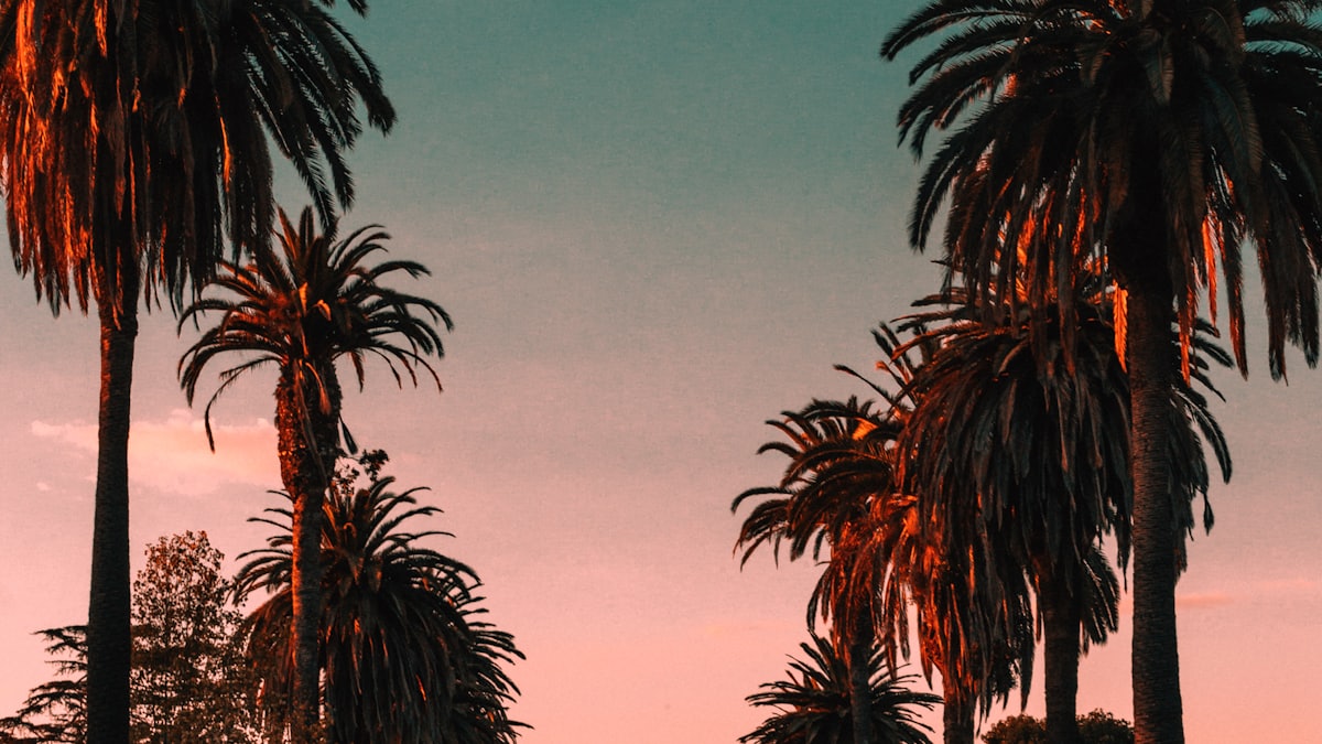 LAX at golden hour